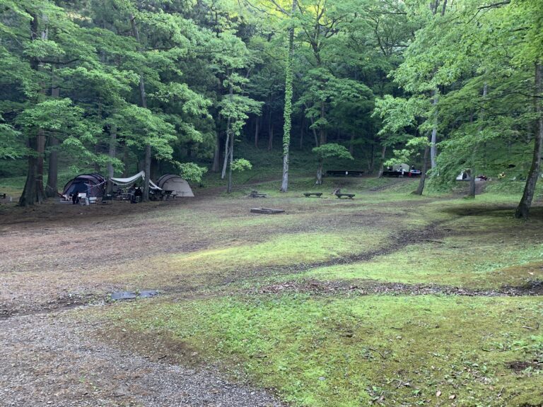 LV.39 キャンプ編　根古屋森林公園